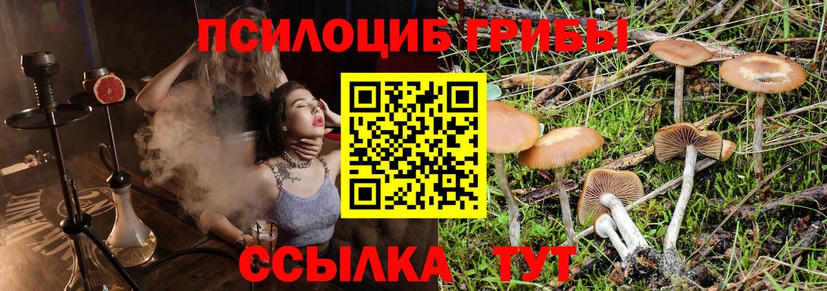 Псилоцибиновые грибы ЛСД  Галлюциногенные грибы MAGIC MUSHROOMS  Ишим  Вход с VPN 